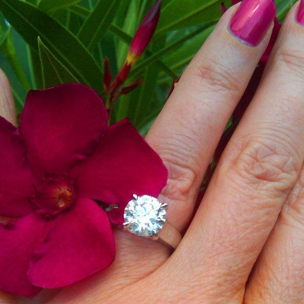 Dalia's Hand Shot with Flower - Top View