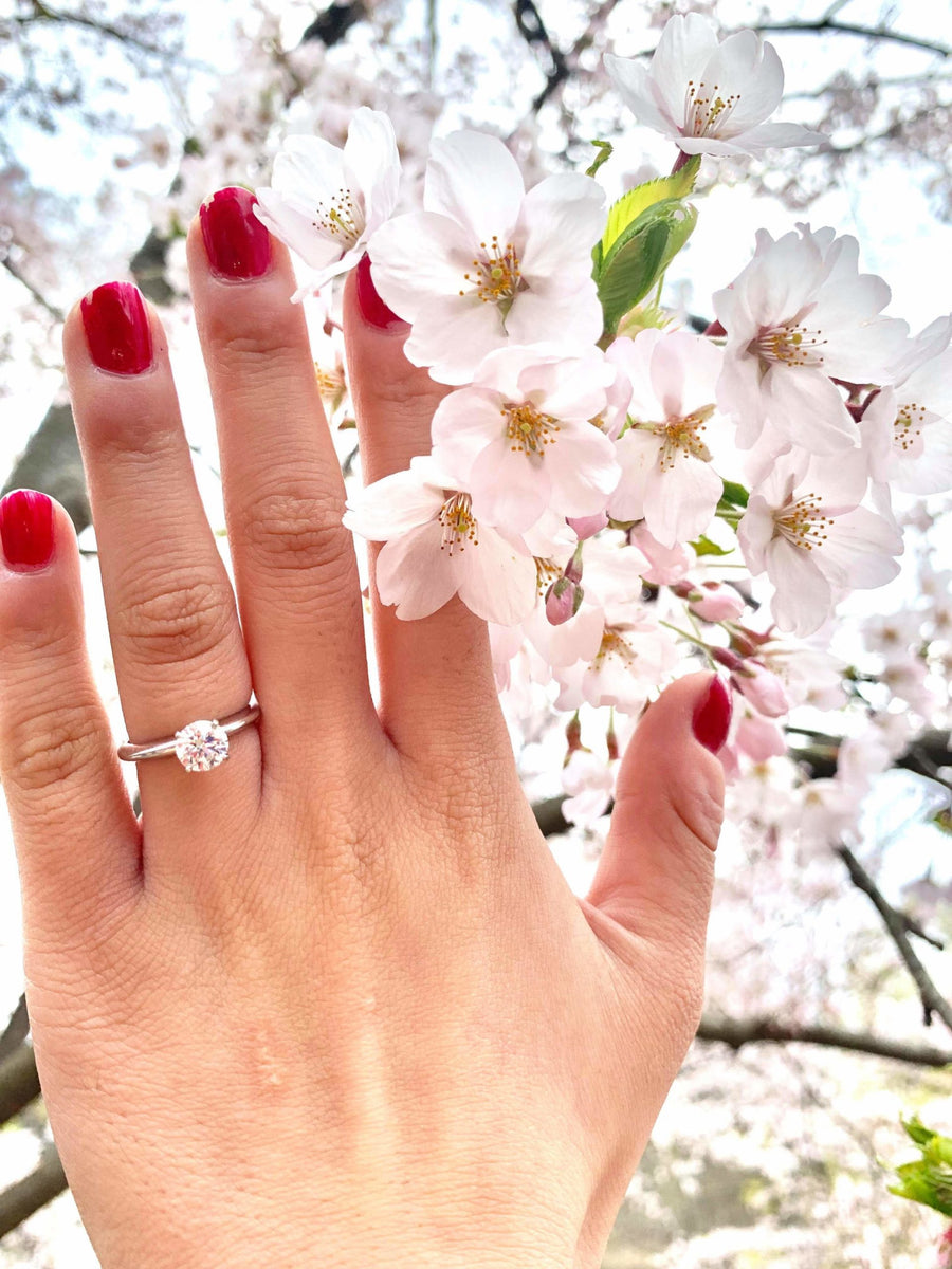 April Showers Bring Forth May Flowers - A May Proposal